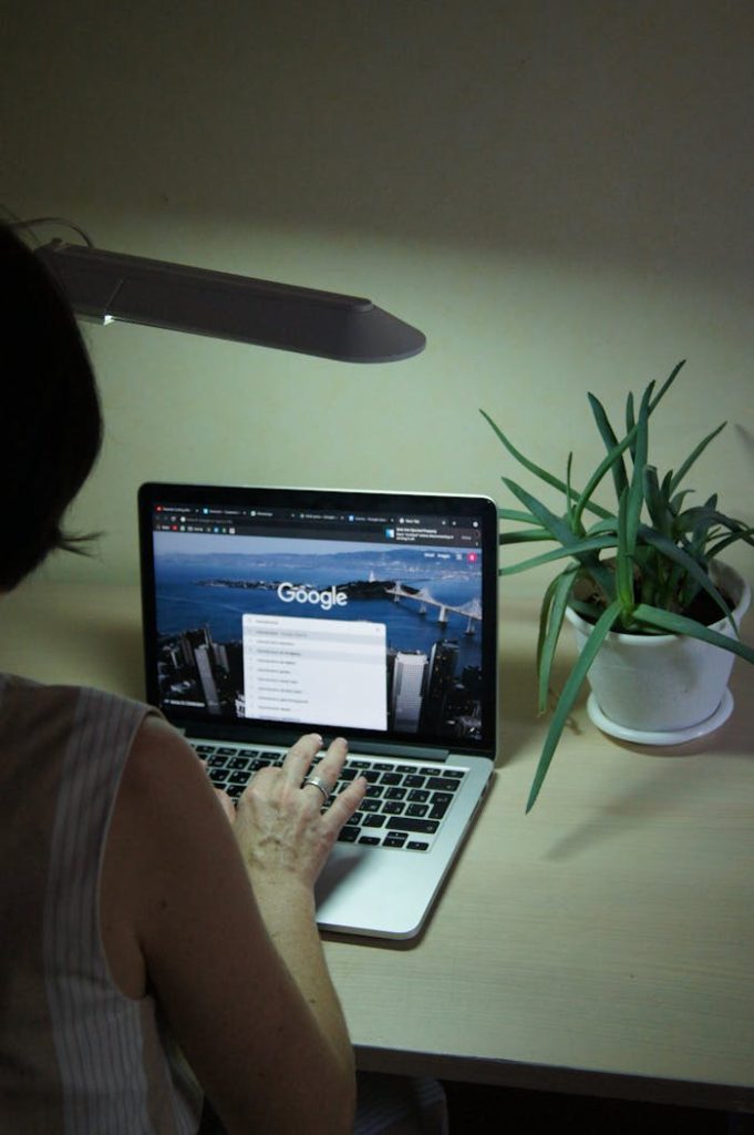 An adult browsing online using a laptop at a desk with a plant nearby, under soft lighting.